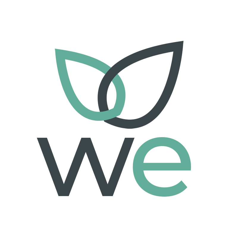 Web Envoy Logo